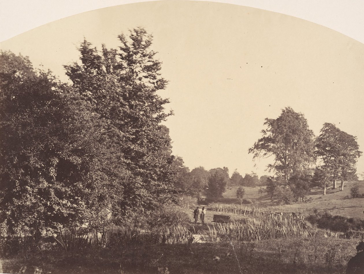 वुडलैंड स्ट्रीम, 1856। द्वारा प्लंकेट