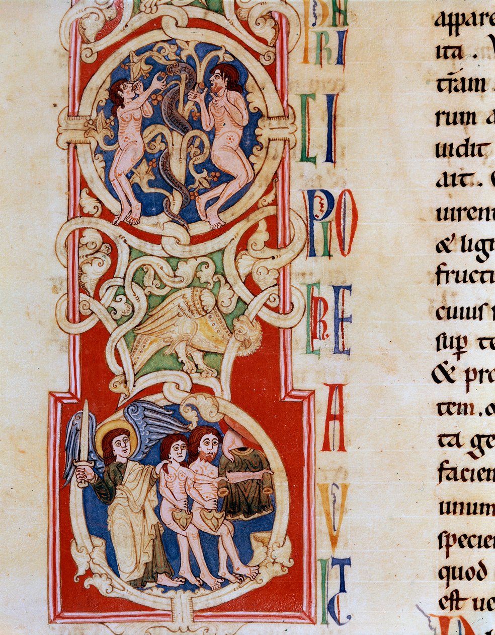 ज्ञान के वृक्ष के पास आदम और हव्वा, नीचे पुर्तगाल में कोयम्बटूर में सांताक्रूज के मठ से "द ओल्ड टेस्टामेंट" से लिए गए लघु स्वर्ग से शिकार किए गए हैं। १२वीं सदी के पोर्टो, नगरपालिका पुस्तकालय द्वारा पुर्तगाली स्कूल