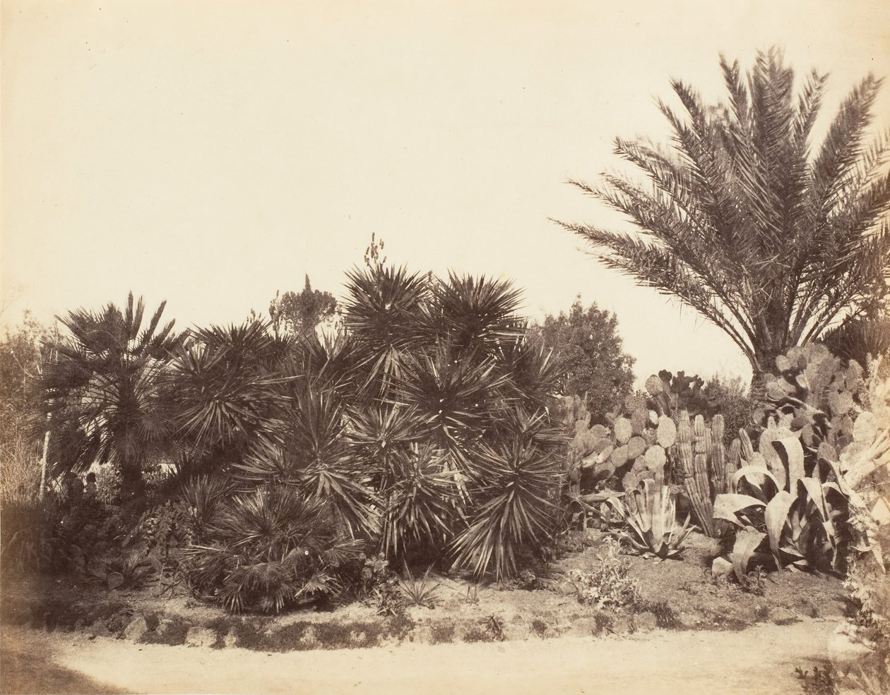 पिंकियन गार्डन, रोम, 1853-56। द्वारा संभवतः जेन मार्था सेंट जॉन द्वारा।
