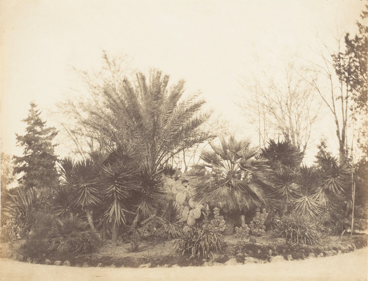 पिंकियन गार्डन, रोम, 1853-56। द्वारा संभवतः जेन मार्था सेंट जॉन द्वारा।