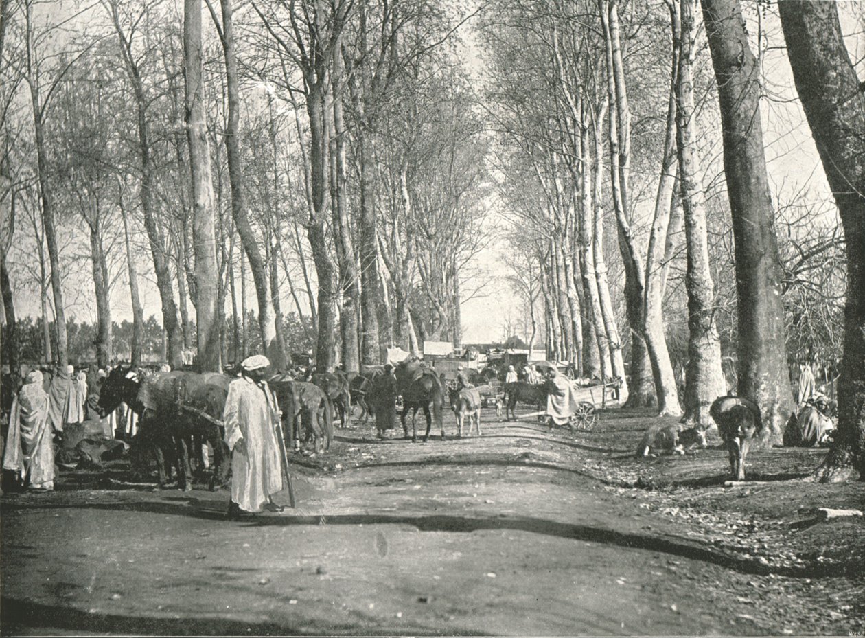 अरब मेला और बाजार, बोउफरिक, अल्जीरिया, 1895। द्वारा पोल्टन और सह