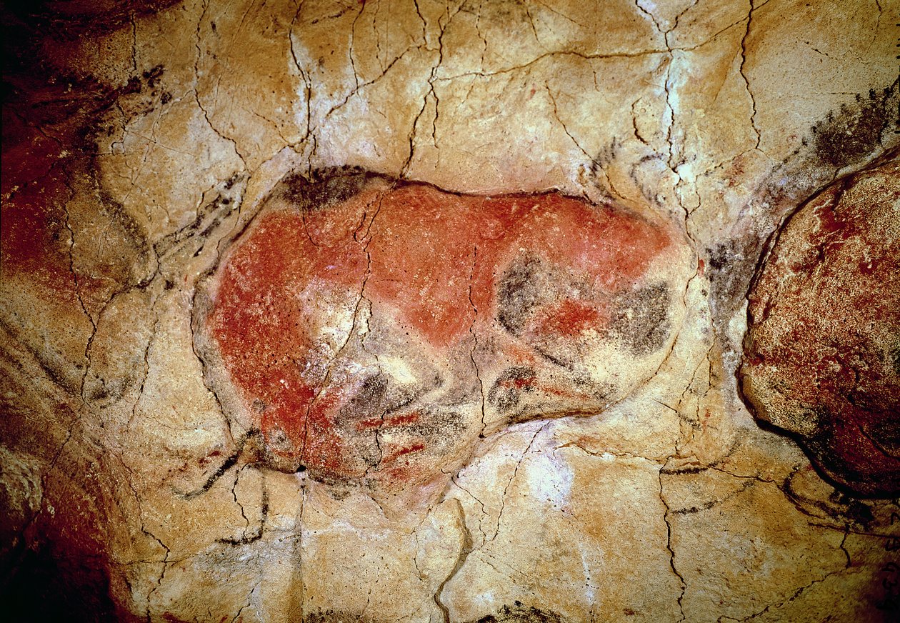 अल्टामिरा की गुफाओं से ऊपरी पेलियोलिथिक, c.15000-8000 ईसा पूर्व (गुफा चित्र) द्वारा प्रागैतिहासिक