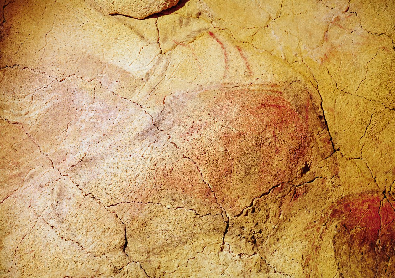 अल्टामिरा की गुफाओं से बाइसन, c.15000 ईसा पूर्व (गुफा चित्र) द्वारा प्रागैतिहासिक
