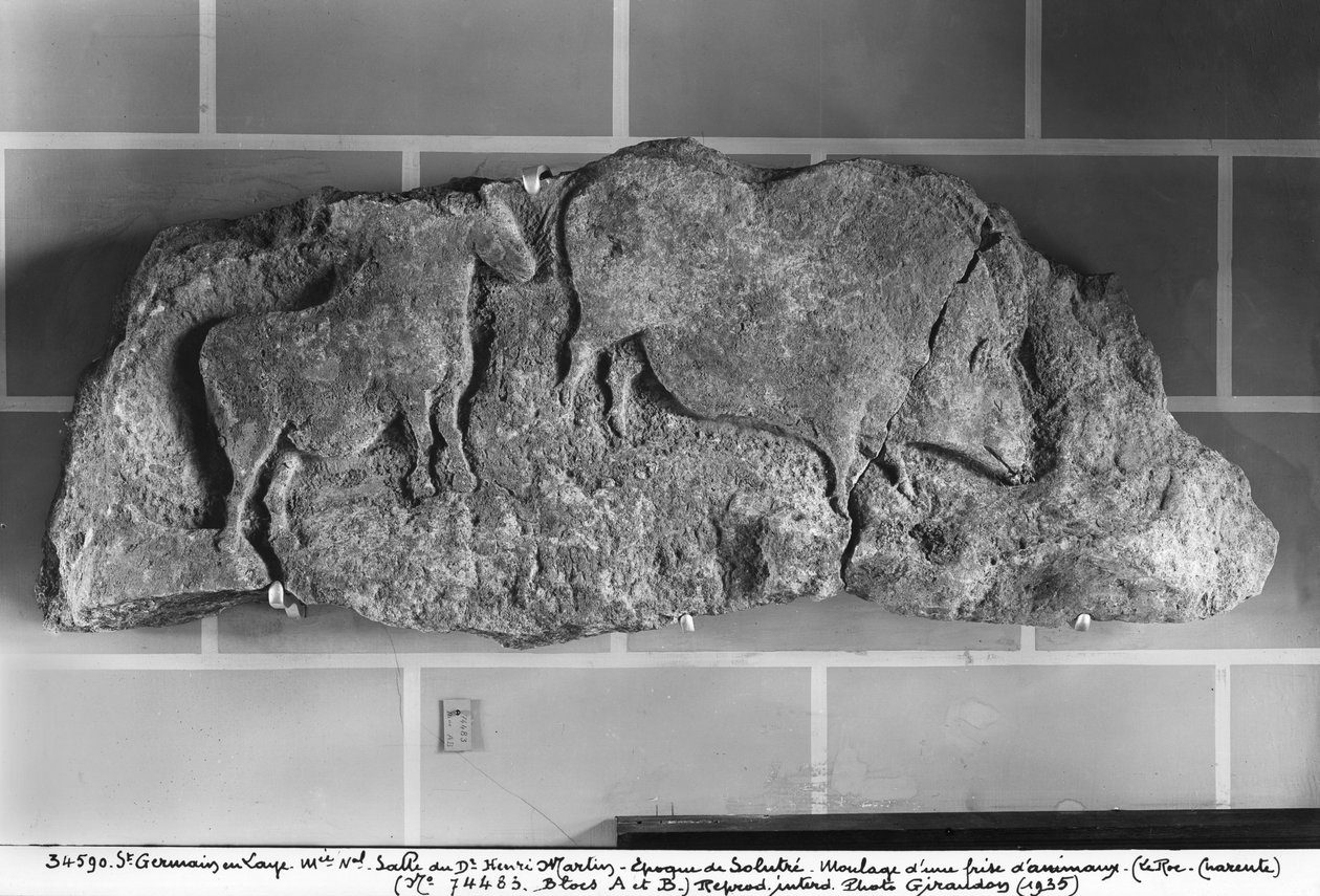 Le Roc de Sers, Charente, Solutrean अवधि, 20000-15000 ईसा पूर्व (बेर) से जानवरों के एक तने का टुकड़ा द्वारा प्रागैतिहासिक