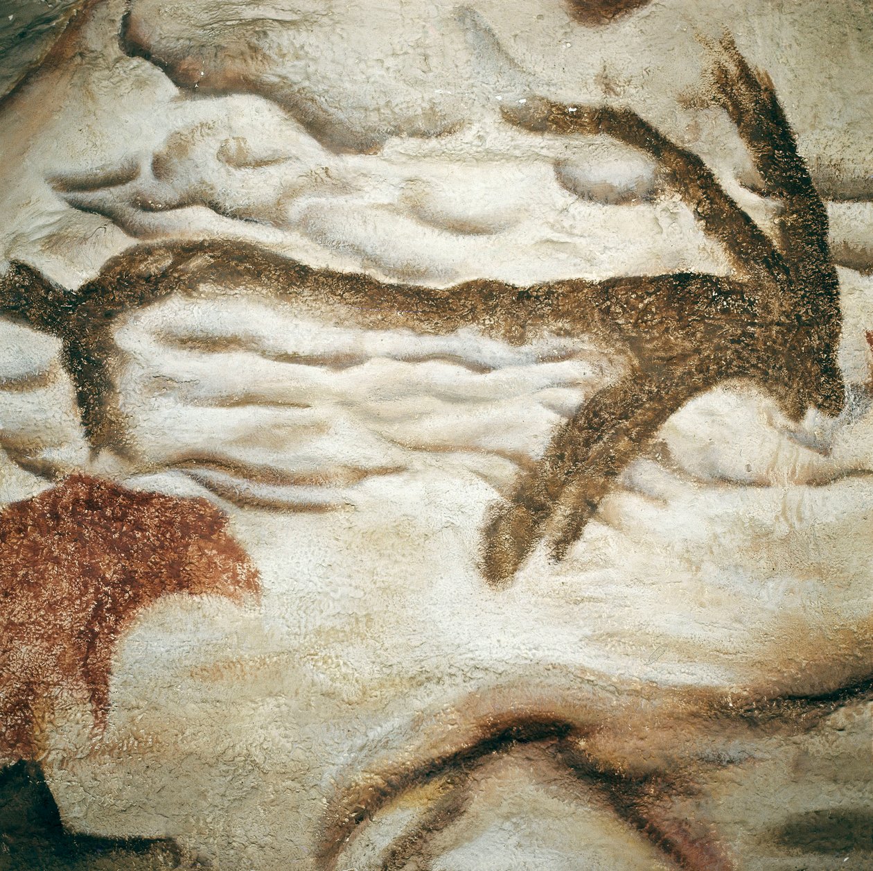 Cervid रॉक पेंटिंग, Cave de Lascaux, Dordogne, France, अपर पैलियोलिथिक (Magdalenian) c. 13000 साल पहले (पेंटिंग) द्वारा प्रागैतिहासिक प्रागैतिहासिक