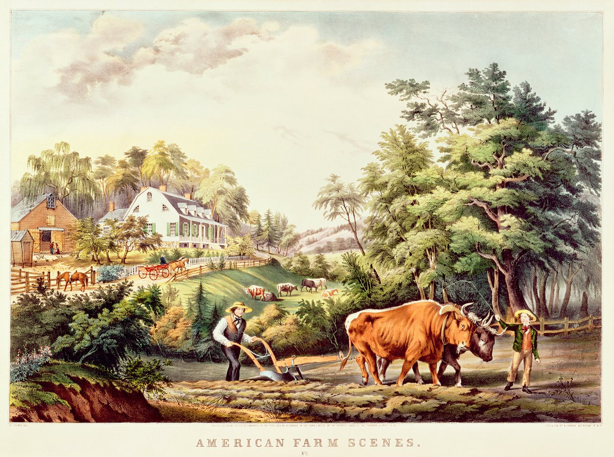 बैंगनी बगुला, &39;ब्रिटिश चित्रण का चित्रण&39; से द्वारा प्राइडो जॉन सेल्बी
