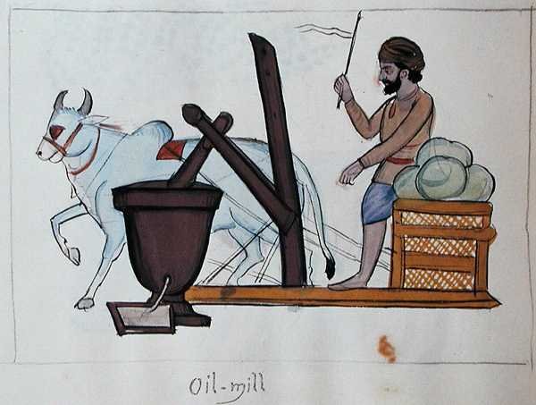 तेल मिल, c.1890 (कागज पर जल रंग) द्वारा पंजाबी स्कूल
