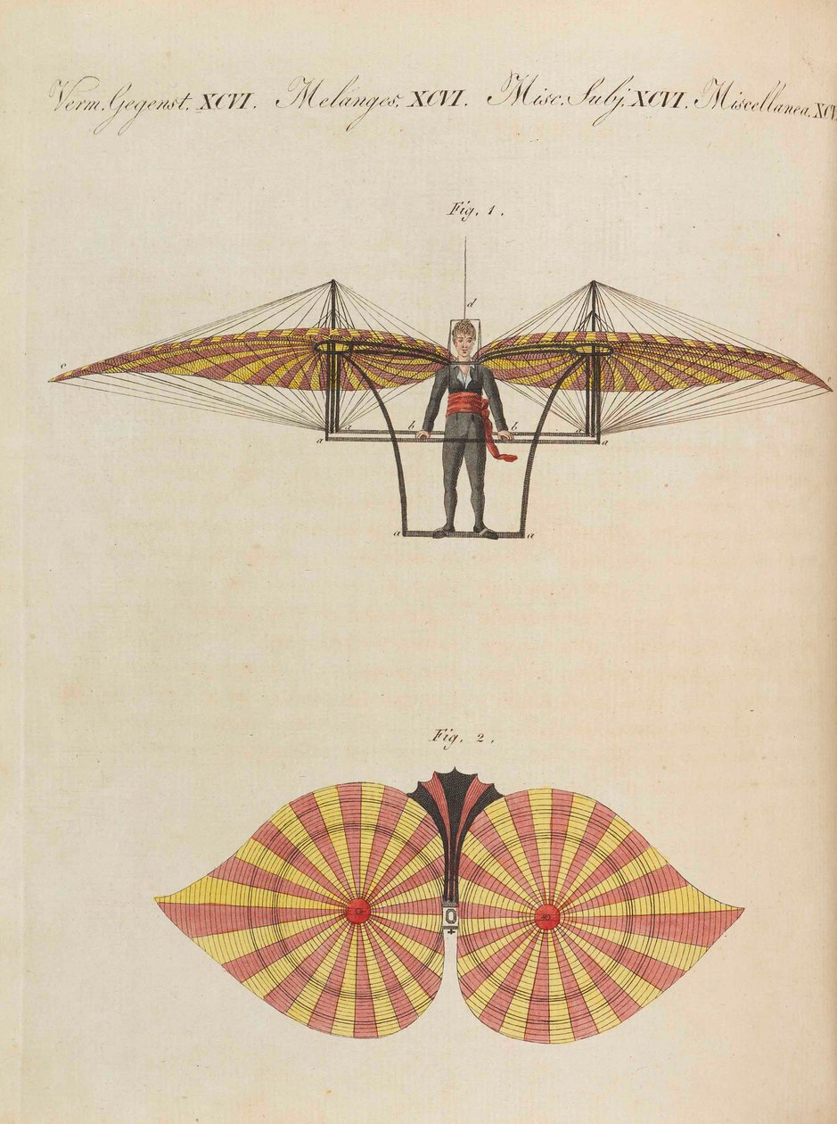 फ्रेडरिक जोहान जस्टिन बर्टुच, 1798-1830 द्वारा चिल्ड्रेन्स पिक्चर बुक चिल्ड्रेन एनसाइक्लोपीडिया। द्वारा वीमर प्रिंसली फ्री ड्रॉइंग स्कूल के छात्र।
