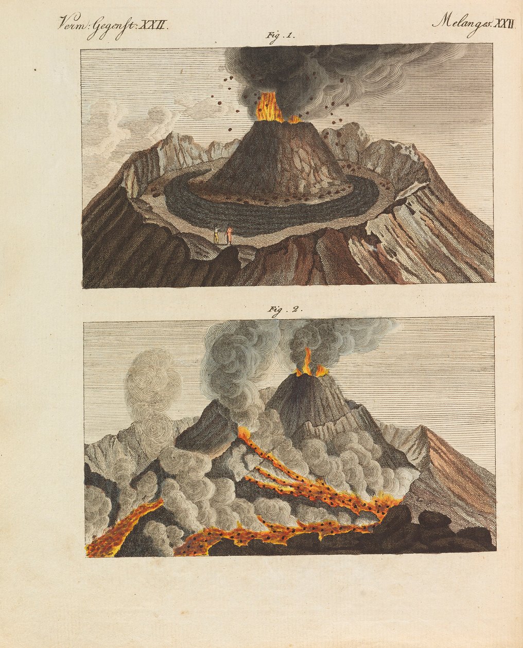फ्रेडरिक जोहान जस्टिन बर्टुच, 1798-1830 द्वारा चिल्ड्रेन्स पिक्चर बुक चिल्ड्रेन एनसाइक्लोपीडिया। द्वारा वीमर प्रिंसली फ्री ड्रॉइंग स्कूल के छात्र।