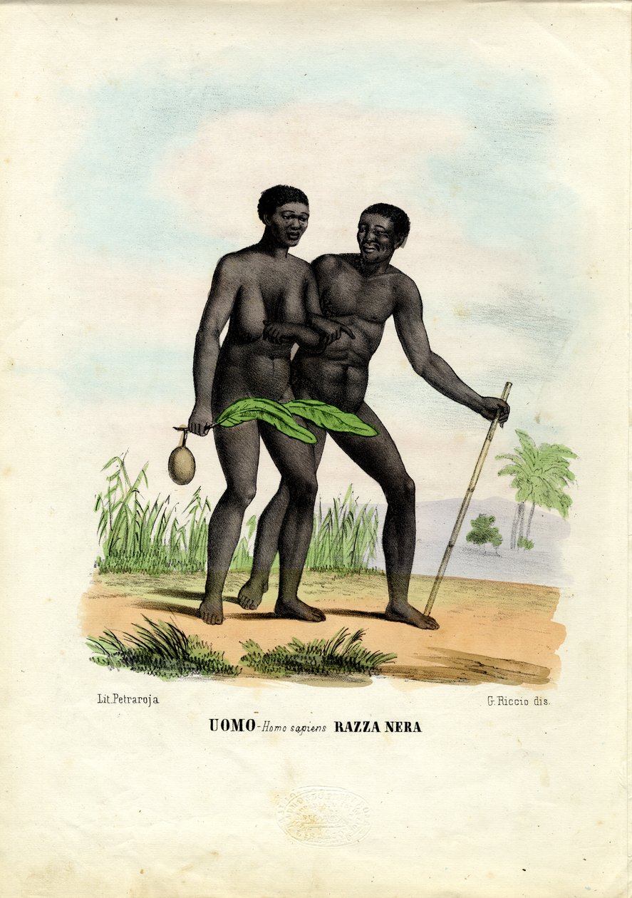 ब्लैक लोग, 1863-79 द्वारा रायमुंडो पेट्रारोइया