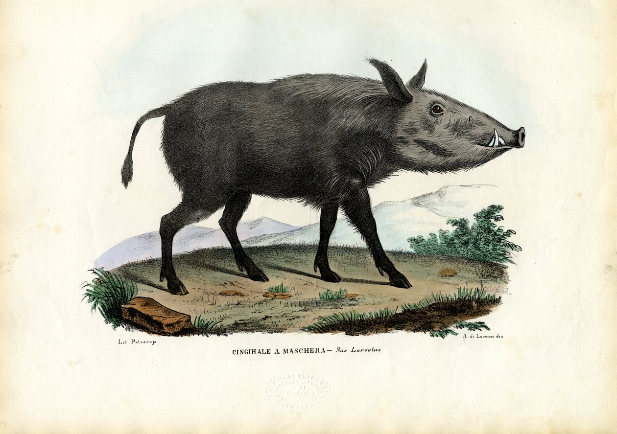 बुशपीग, 1863-79 द्वारा रायमुंडो पेट्रारोइया