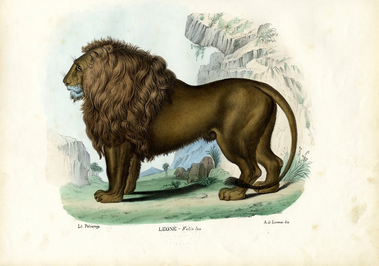 सिंह, 1863-79 द्वारा रायमुंडो पेट्रारोइया