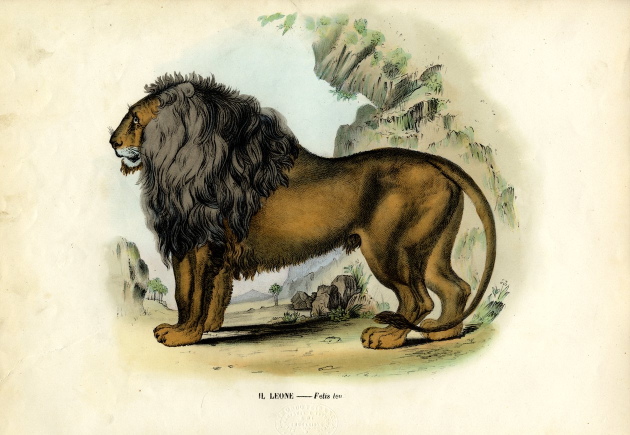सिंह, 1863-79 द्वारा रायमुंडो पेट्रारोइया