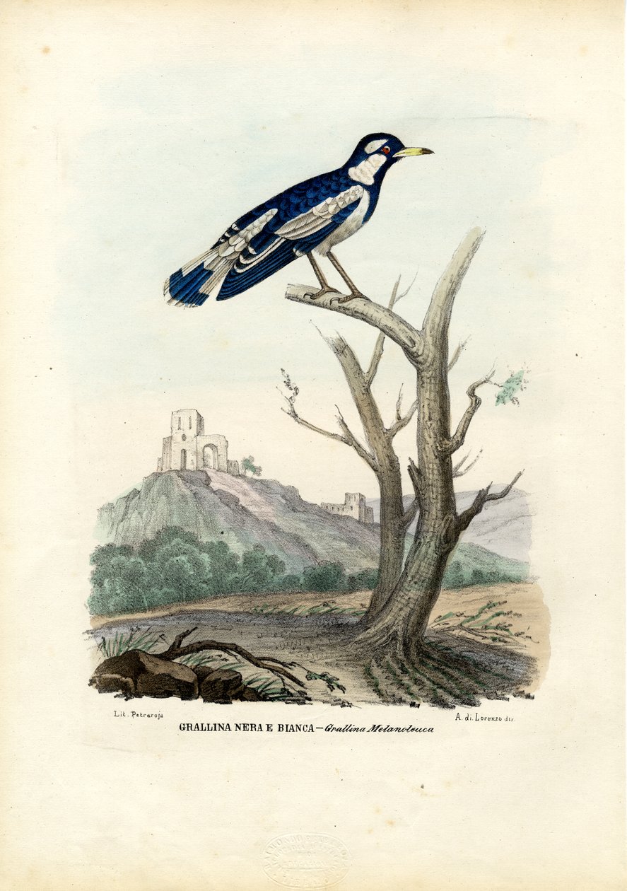 मैगपाई-लार्क, 1863-79 द्वारा रायमुंडो पेट्रारोइया