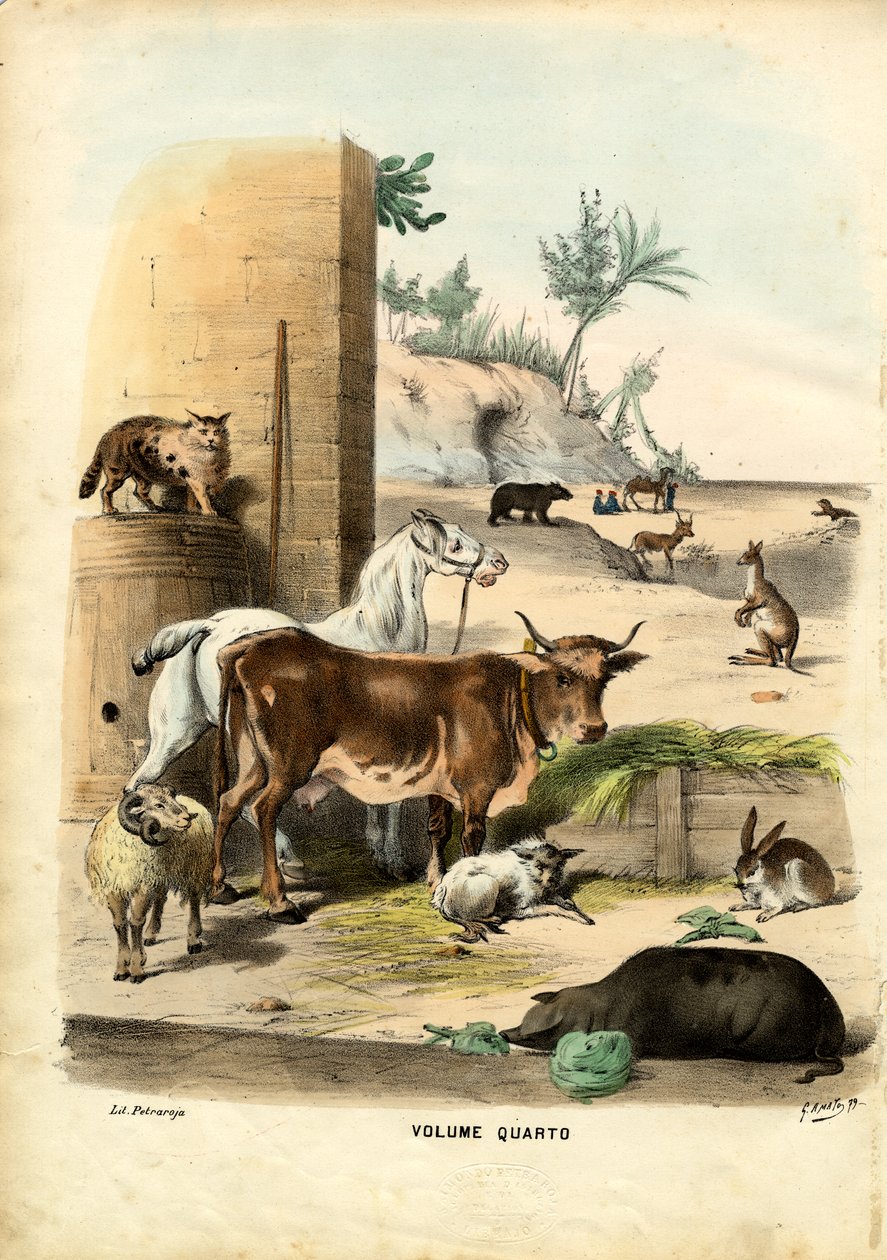 शीर्षक पृष्ठ, 1863-79 द्वारा रायमुंडो पेट्रारोइया