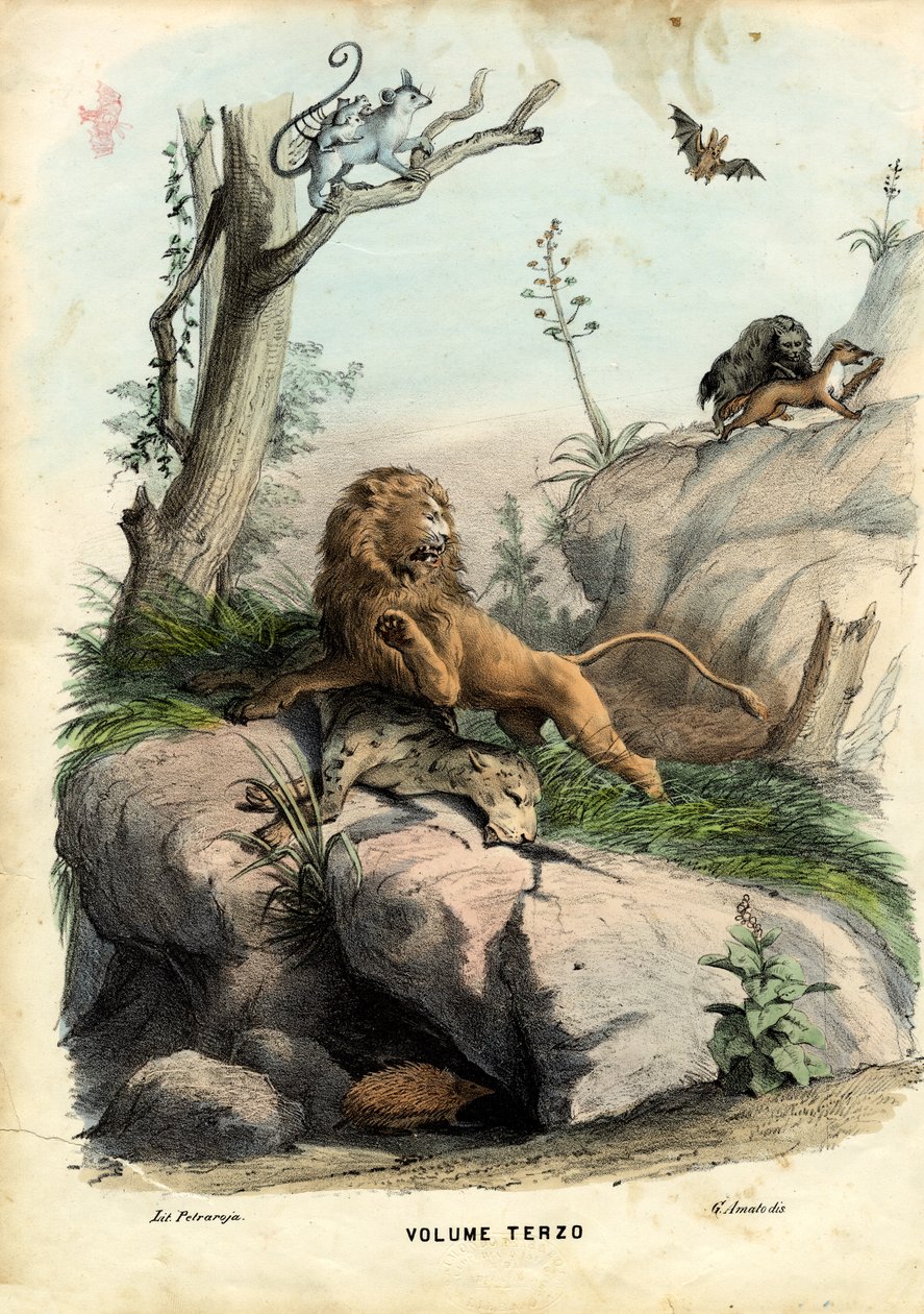 शीर्षक पृष्ठ, 1863-79 द्वारा रायमुंडो पेट्रारोइया