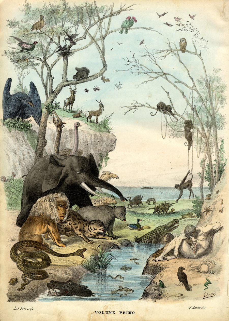शीर्षक पृष्ठ, 1863-79 द्वारा रायमुंडो पेट्रारोइया