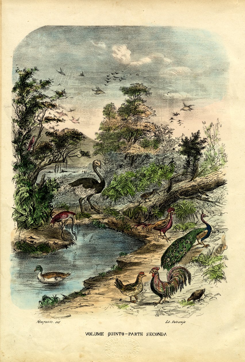 शीर्षक पृष्ठ, 1863-79 द्वारा रायमुंडो पेट्रारोइया