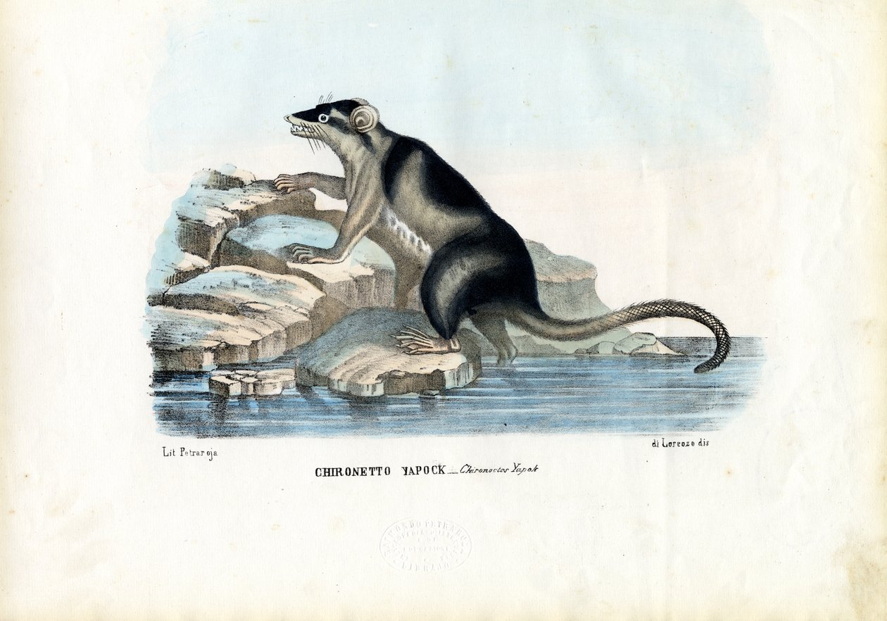 यपोक, 1863-79 द्वारा रायमुंडो पेट्रारोइया
