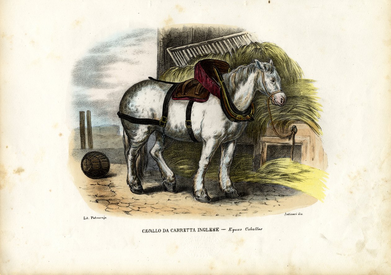 अंग्रेजी फार्म हॉर्स, 1863-79 द्वारा रायमुंडो पेट्रारोइया