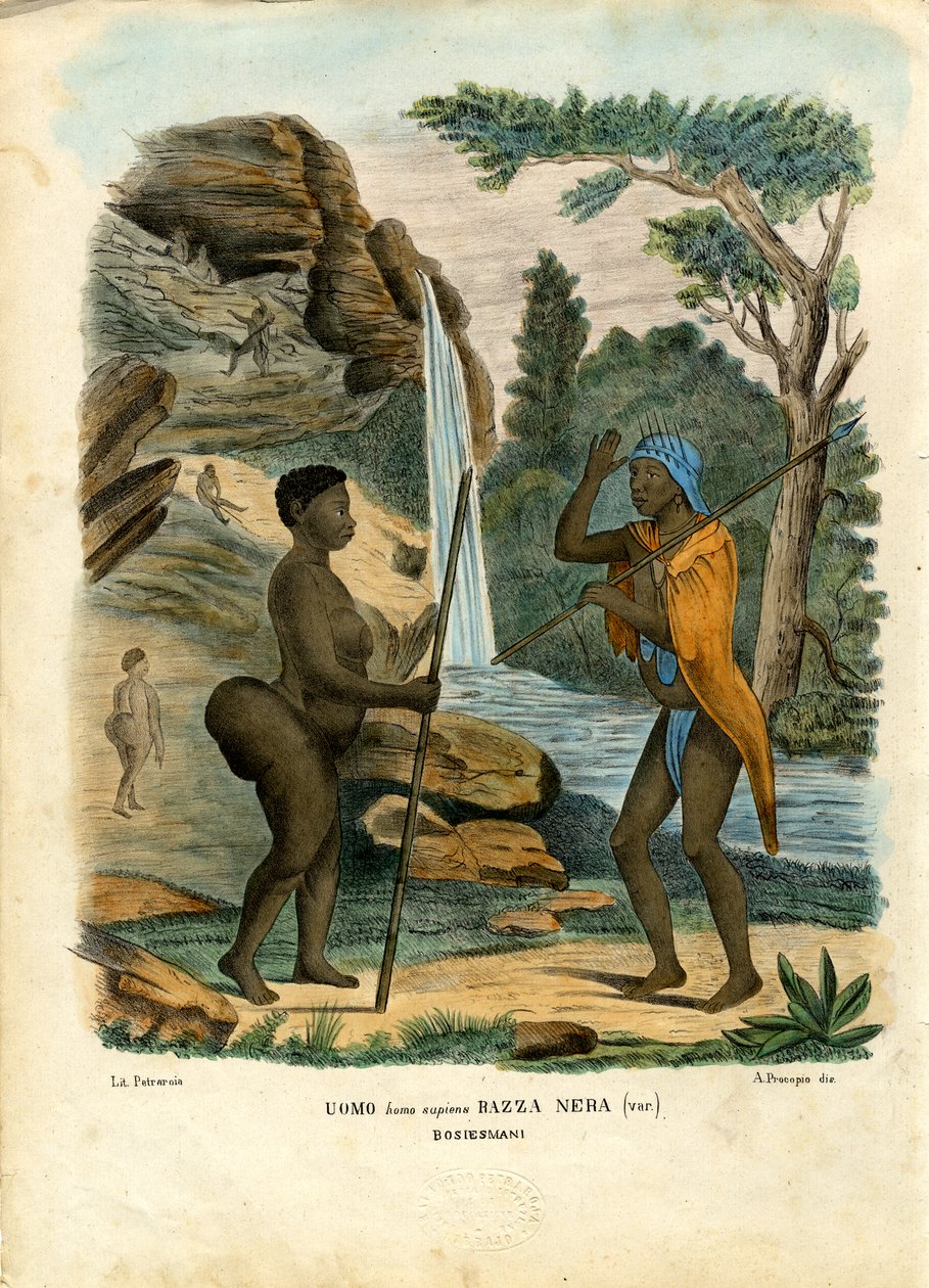 हॉटनॉट्स, 1863-79 द्वारा रायमुंडो पेट्रारोइया