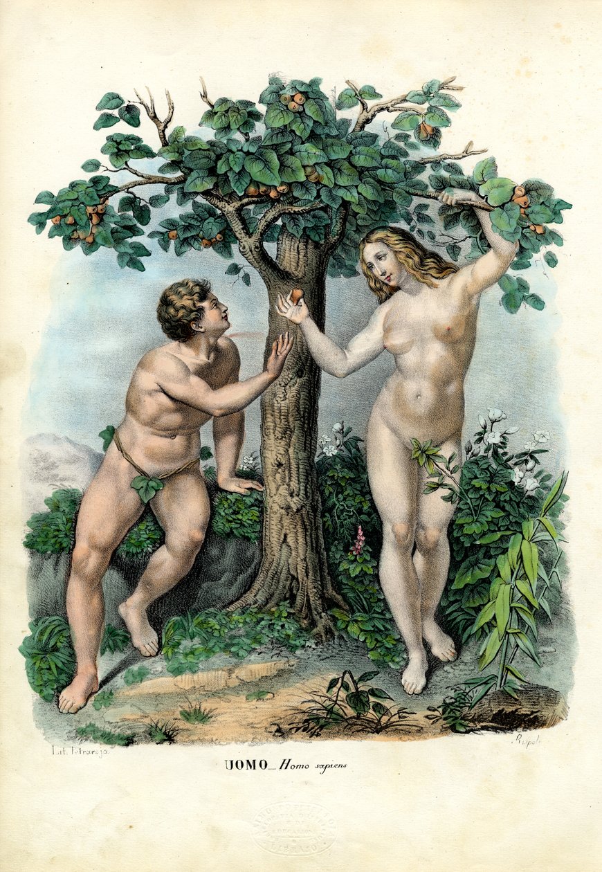 मानव दौड़, 1863-79 द्वारा रायमुंडो पेट्रारोइया