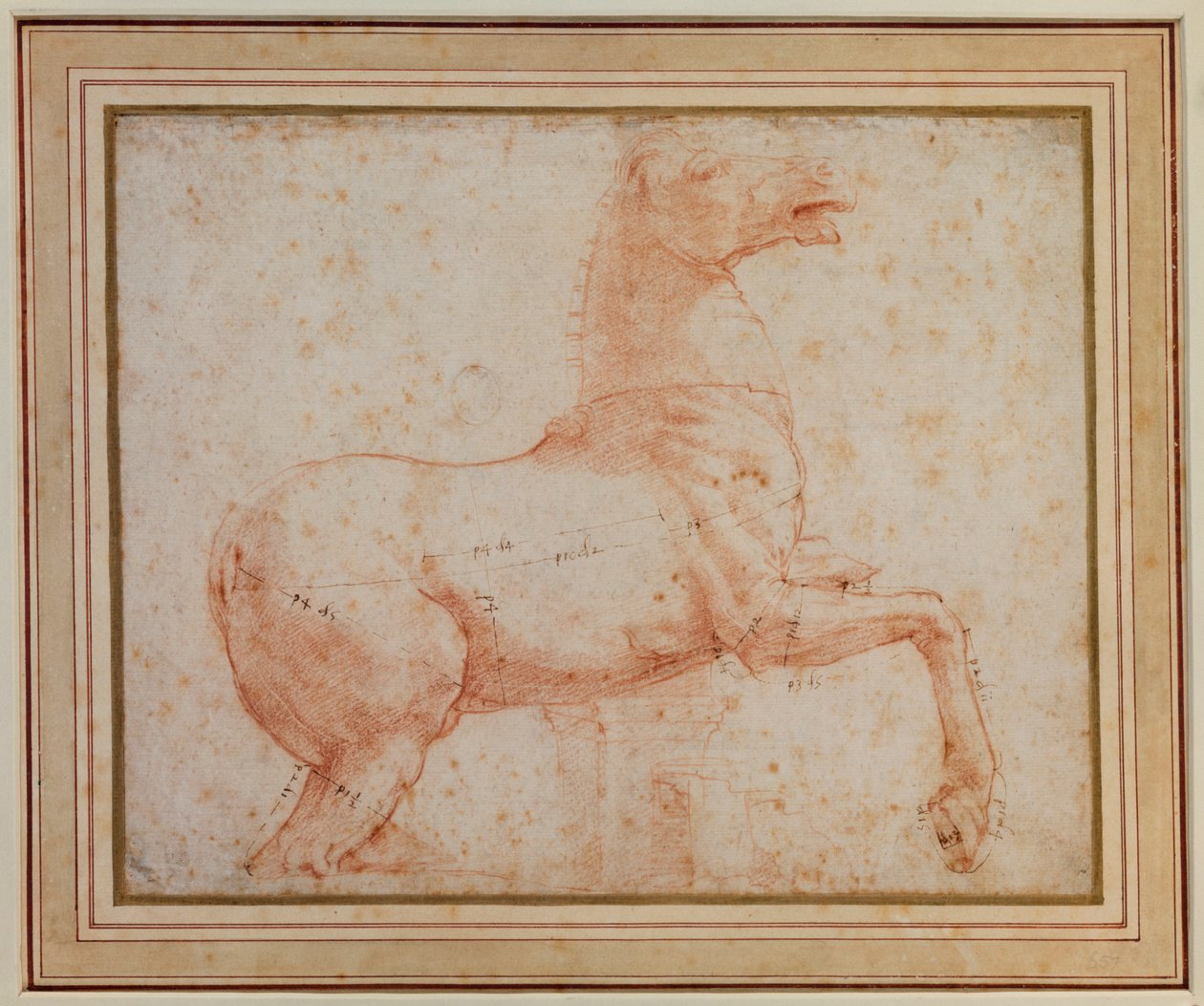 Quirinal संगमरमर के घोड़ों में से एक का अध्ययन (लेखनी के संकेतों पर लाल चाक) द्वारा राफेल