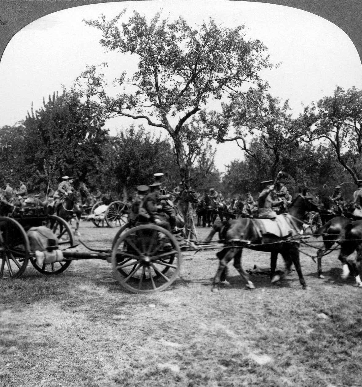 अश्व-निर्मित तोपें, प्रथम विश्व युद्ध, 1914-1918। द्वारा यथार्थवादी यात्रा प्रकाशक