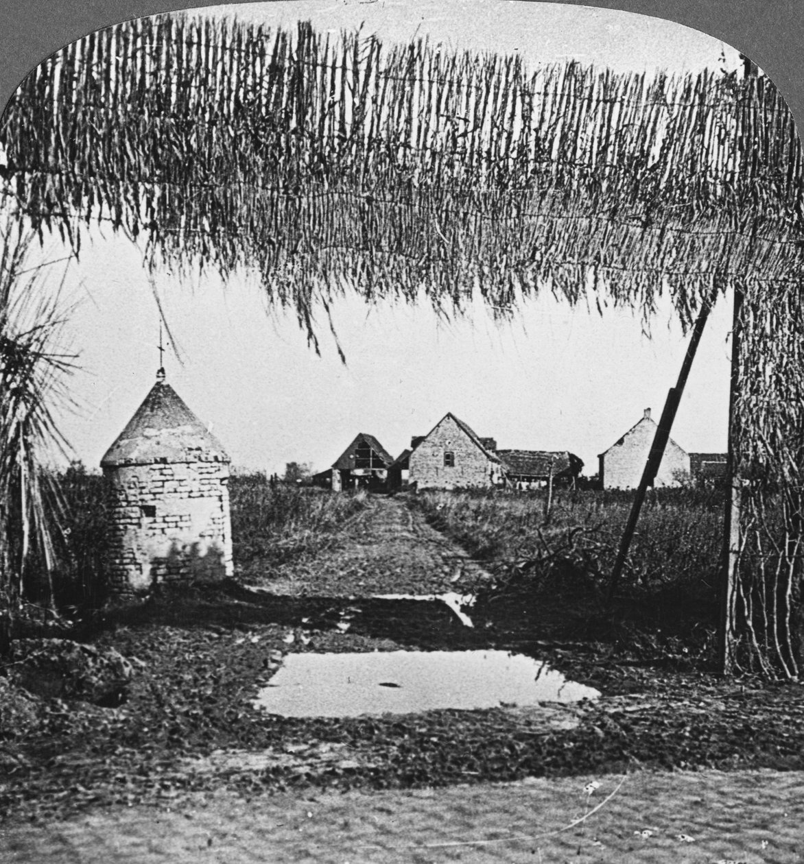 सरल छलावरण, प्रथम विश्व युद्ध, c1914-c1918। द्वारा यथार्थवादी यात्रा प्रकाशक