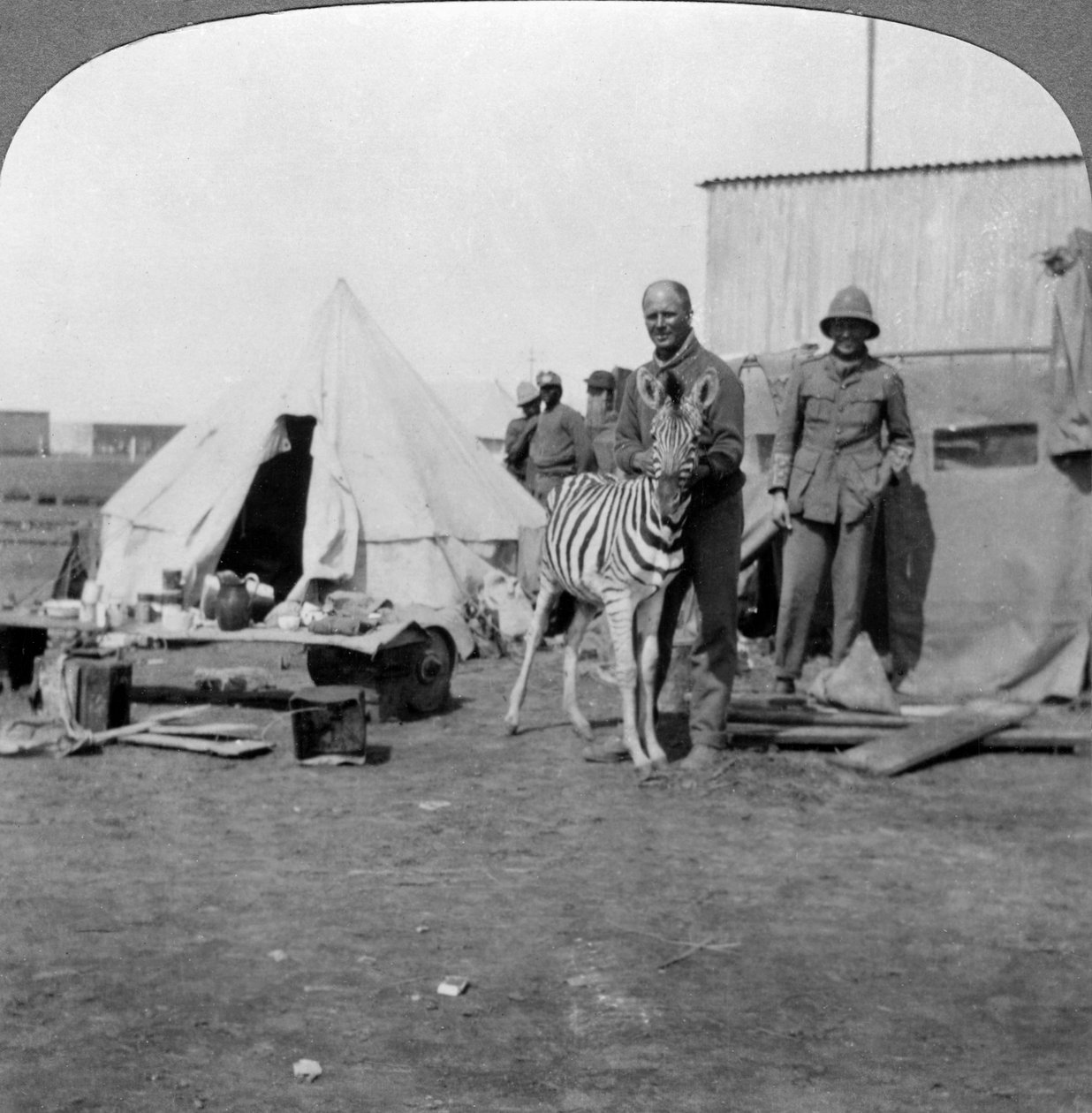 अपने पालतू ज़ेबरा, पूर्वी अफ्रीका, प्रथम विश्व युद्ध, 1914-1918 के साथ दक्षिण अफ्रीकी गनर। द्वारा यथार्थवादी यात्रा प्रकाशक