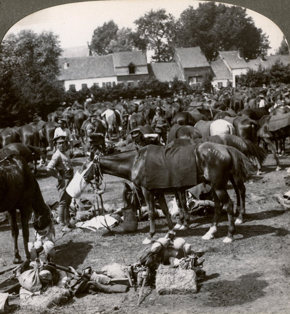 अपने घोड़ों को खिलाने वाले सैनिक और प्रथम विश्व युद्ध, 1914-1918 को आराम करते हुए। द्वारा यथार्थवादी यात्रा प्रकाशक