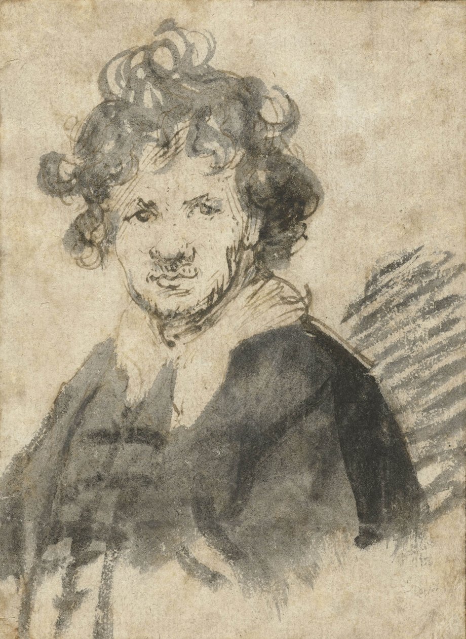 Tousled Hair के साथ स्व-चित्र, c.1628-29 द्वारा रिमब्रांड वैन रिजन