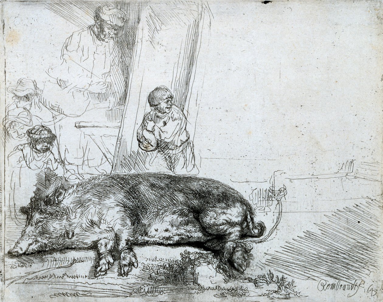 द हॉग, 1643 द्वारा रिमब्रांड वैन रिजन