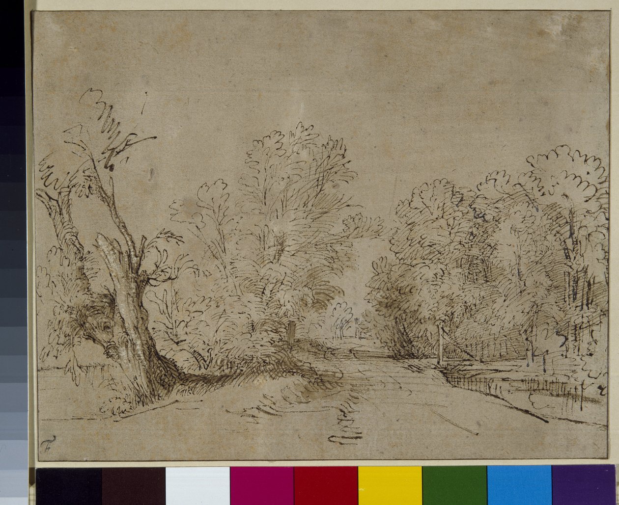 एक जंगली सड़क, c.1650 (कागज पर कलम और स्याही) द्वारा रेम्ब्रांट हर्मेंज़। वैन रिजन