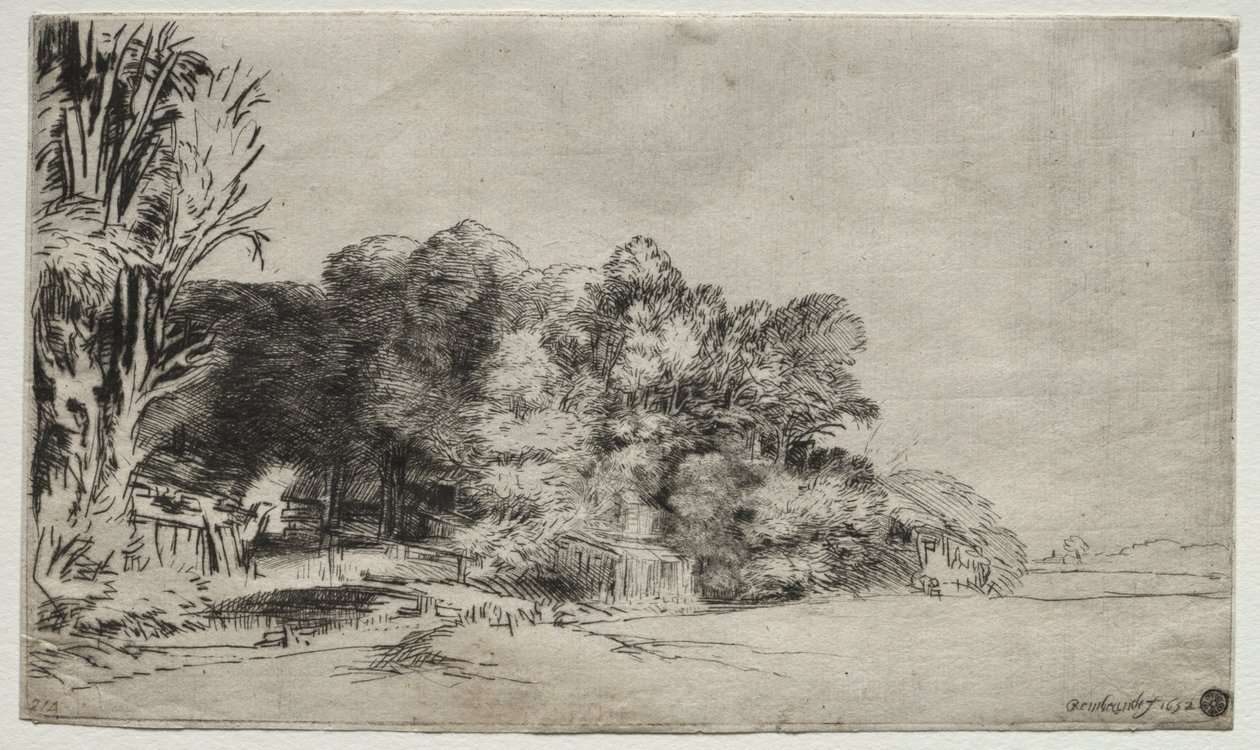 विस्टा के साथ पेड़ों का झुरमुट, 1652। द्वारा रिमब्रांड वैन रिजन