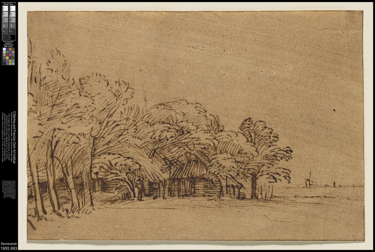 पेड़ के नीचे खेत, c.1650 द्वारा रिमब्रांड वैन रिजन