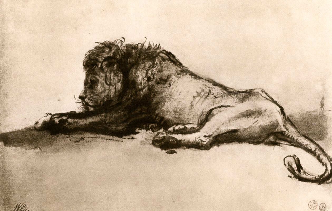 एक शेर का अध्ययन, 1913। द्वारा रिमब्रांड वैन रिजन