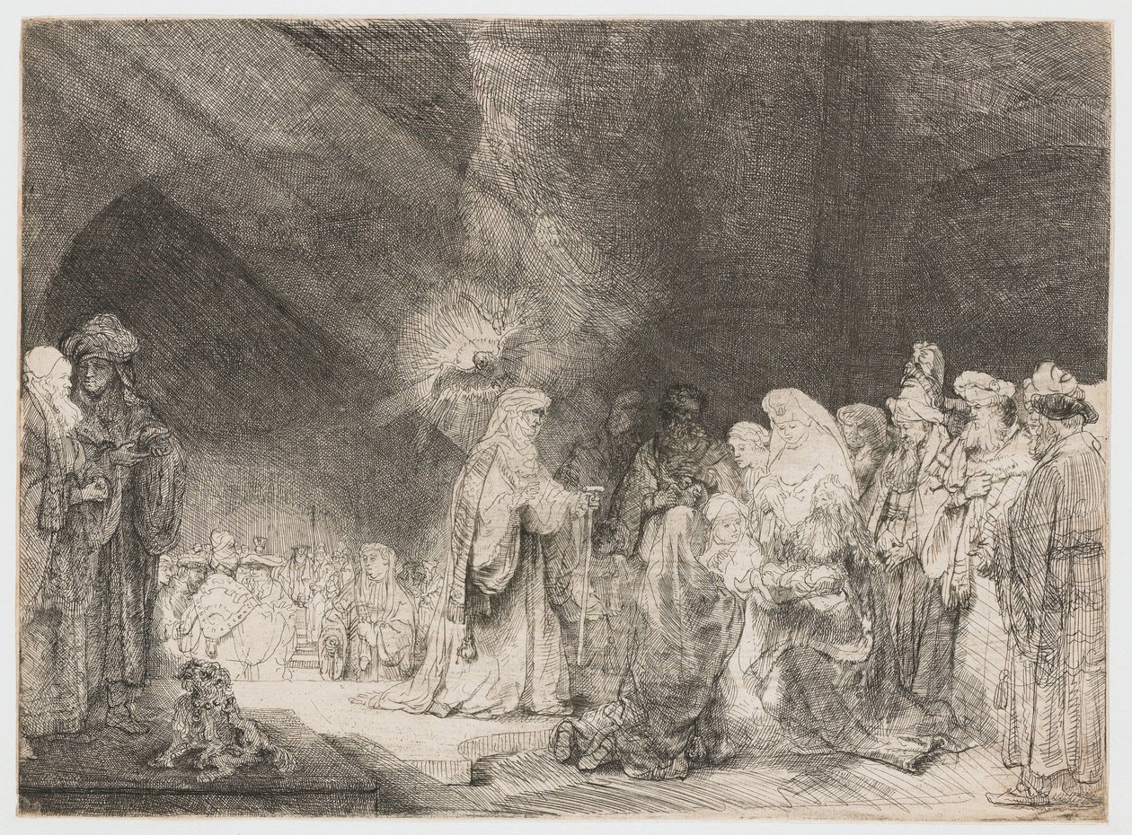  द्वारा रिमब्रांड वैन रिजन