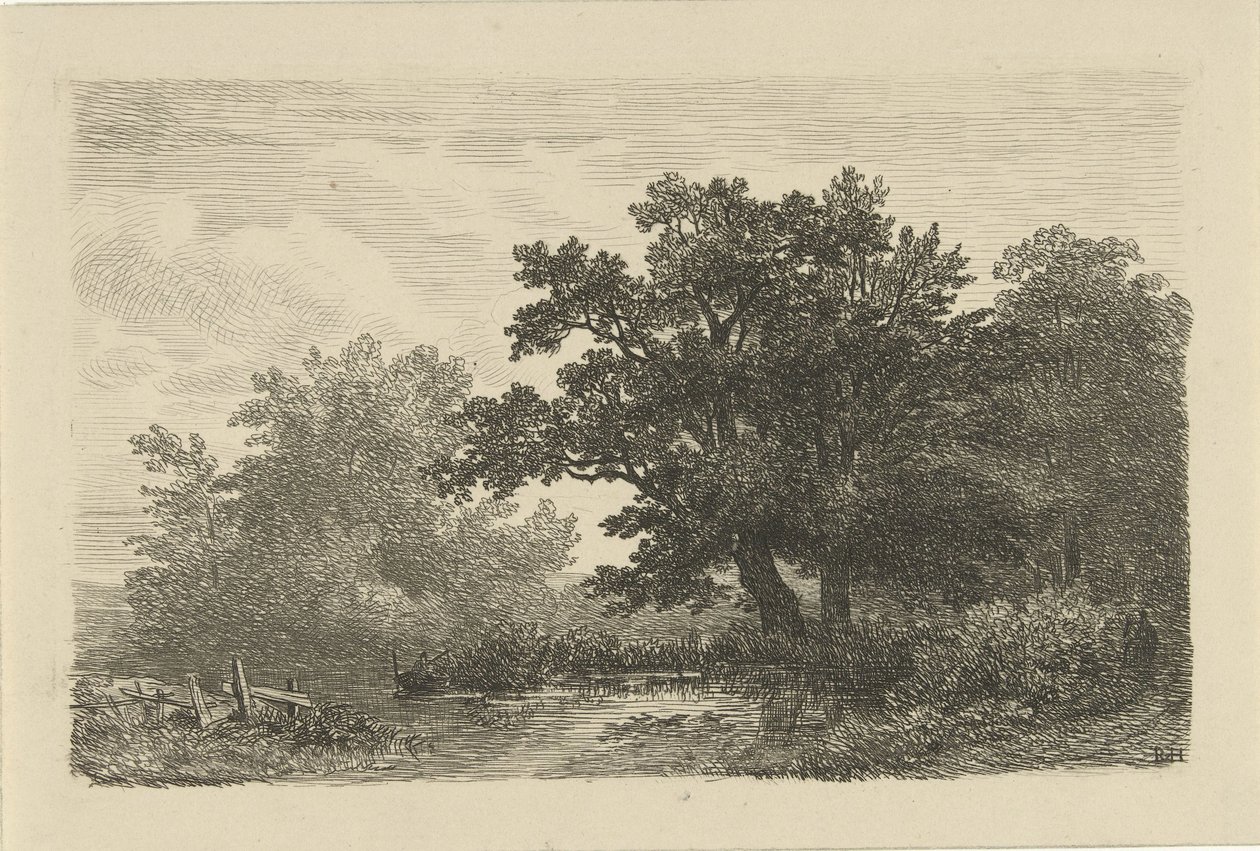  द्वारा रिमिगियस एड्रियनस हैनन