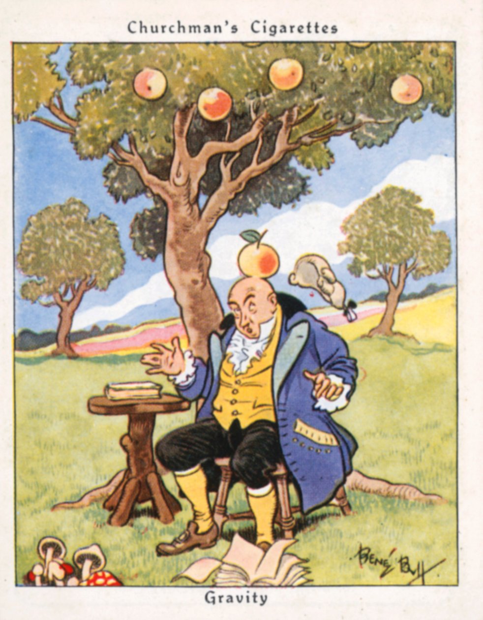  द्वारा रेने बुल