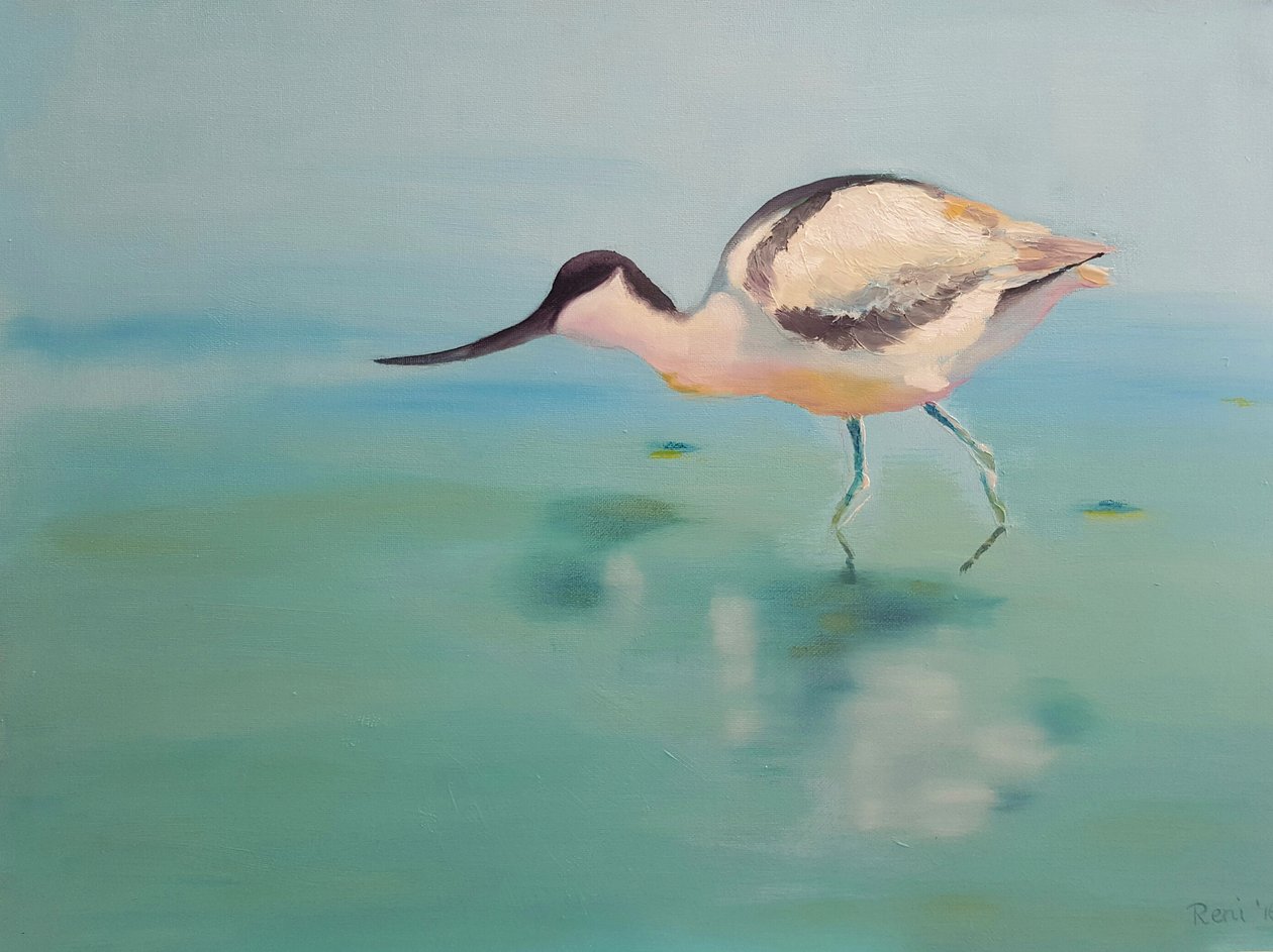 avocets द्वारा दोहट को नवीनीकृत करें