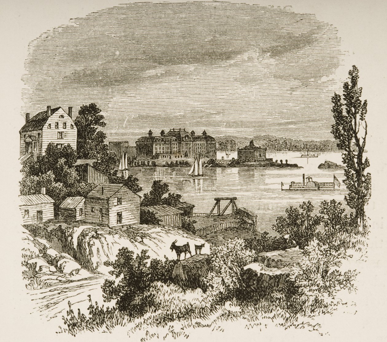 टर्टल बे और ब्लैकवेल्स द्वीप, न्यूयॉर्क, c.1880 द्वारा रेवरेंड सैमुअल मैनिंग