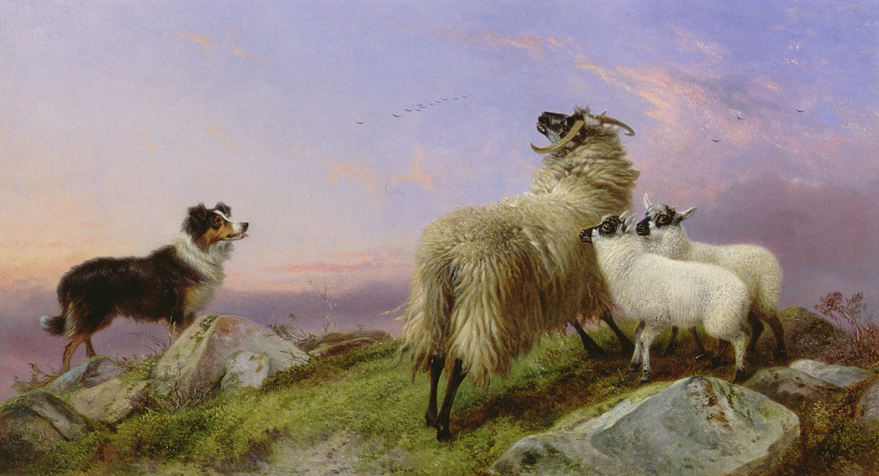 Collie, Ewe और Lambs द्वारा रिचर्ड एन्सडेल