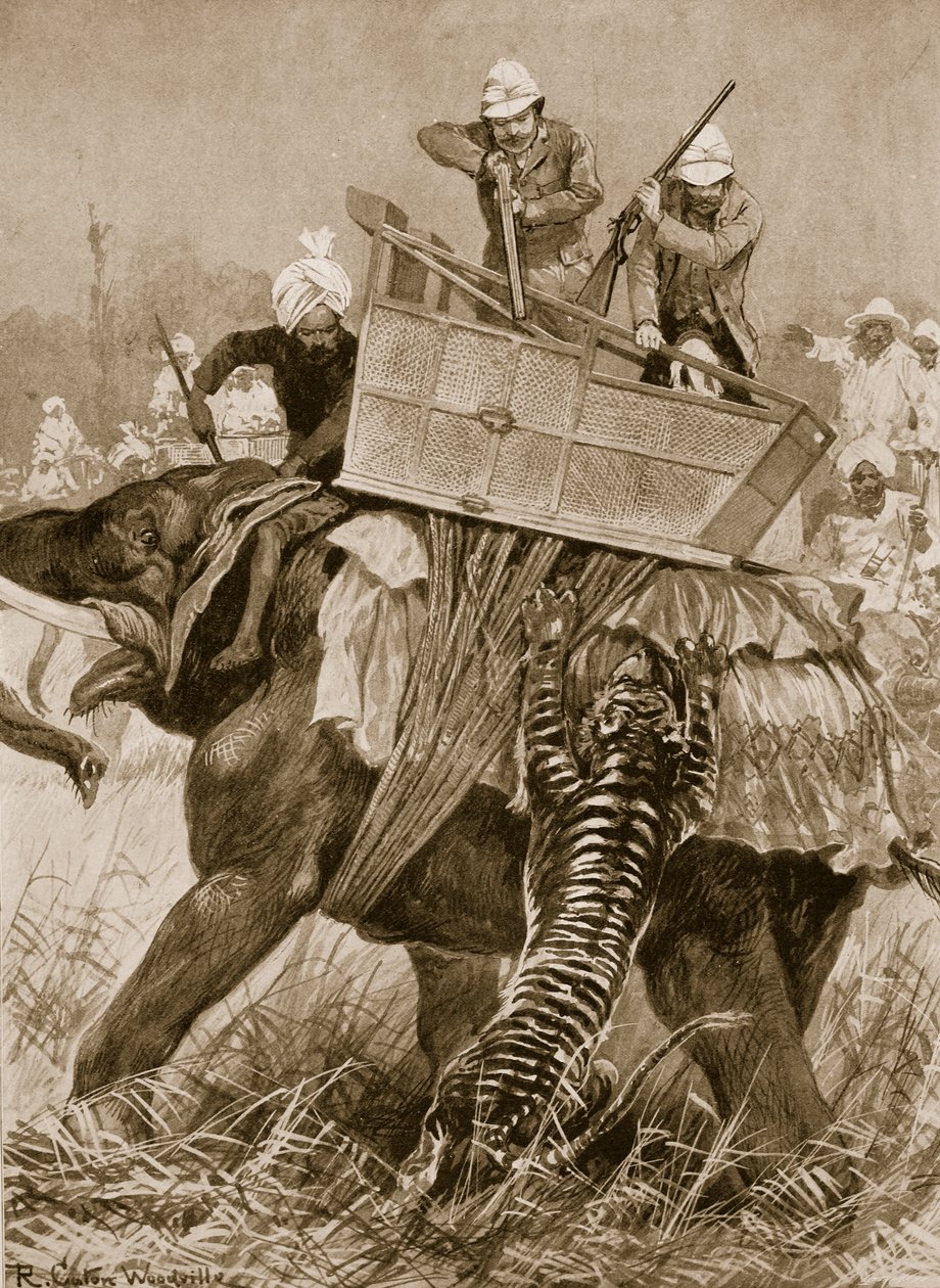 द प्रिंस ऑफ़ वेल्स की भारत यात्रा, 1876: द प्रिंस ऑफ़ एलीफेंट ने एक टाइगर द्वारा नेफुल तराई में 21 फरवरी, &39;द इलस्ट्रेटेड लंदन न्यूज&39; से 1901 में लिया। द्वारा रिचर्ड केटन वुडविले