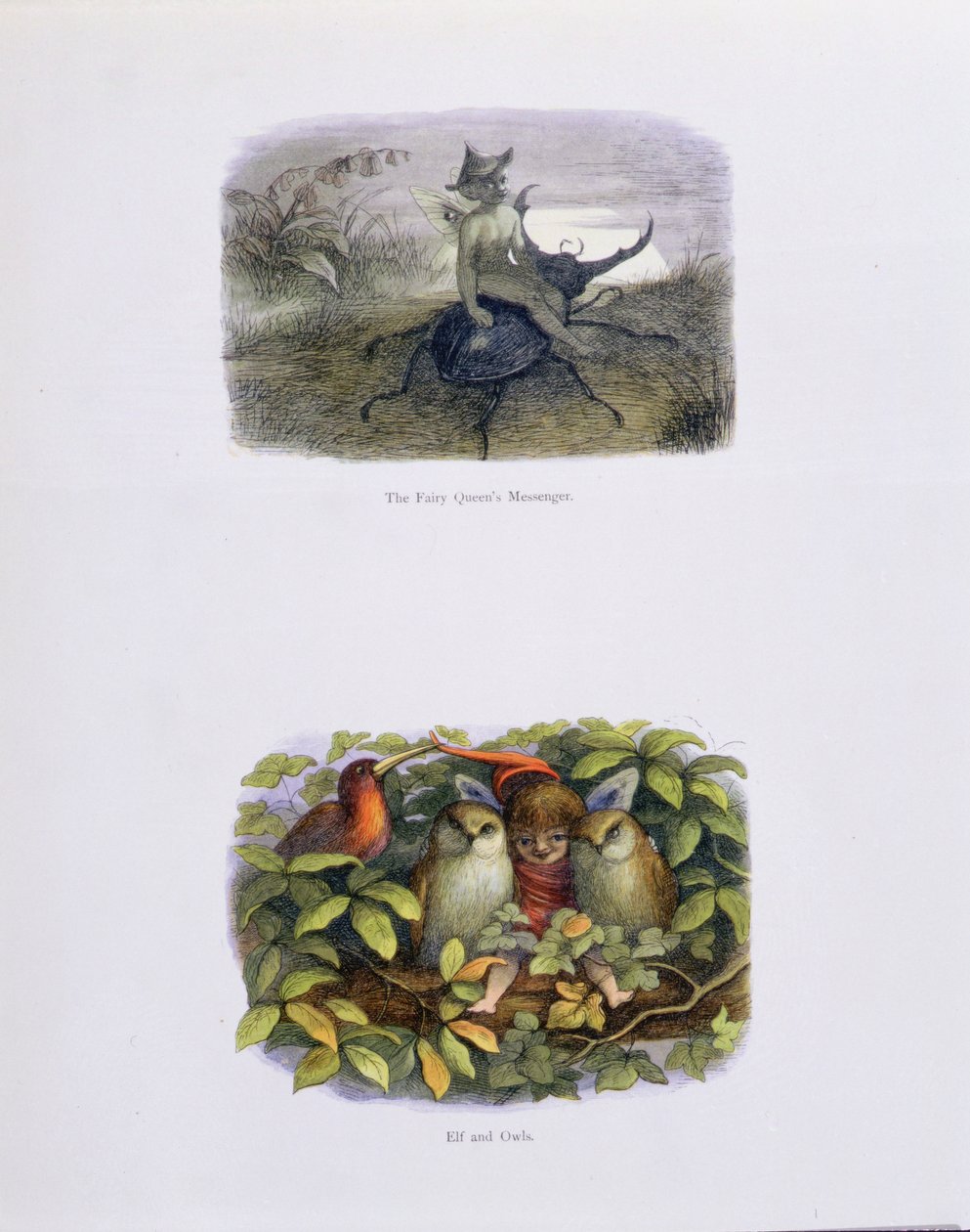 द फेयर क्वीन के मैसेंजर, और एल्फ एंड ओवल्स, विलियम इनिंगम और एंड्रयू लैंग द्वारा &39;इन फेयरीलैंड: ए सीरीज ऑफ द एल्फ-वर्ल्ड&39; से प्राप्त चित्र। द्वारा रिचर्ड डॉयल