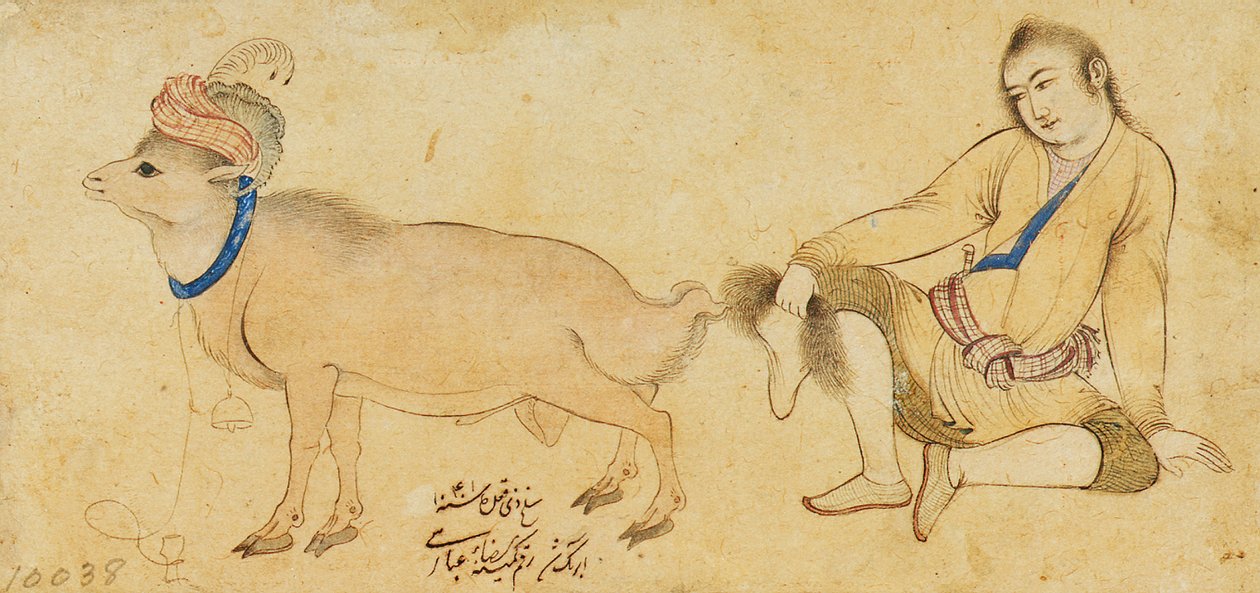 एक युवा और एक राम का अध्ययन, 1630-31 या बाद में द्वारा रिज़ा और अब्बासी