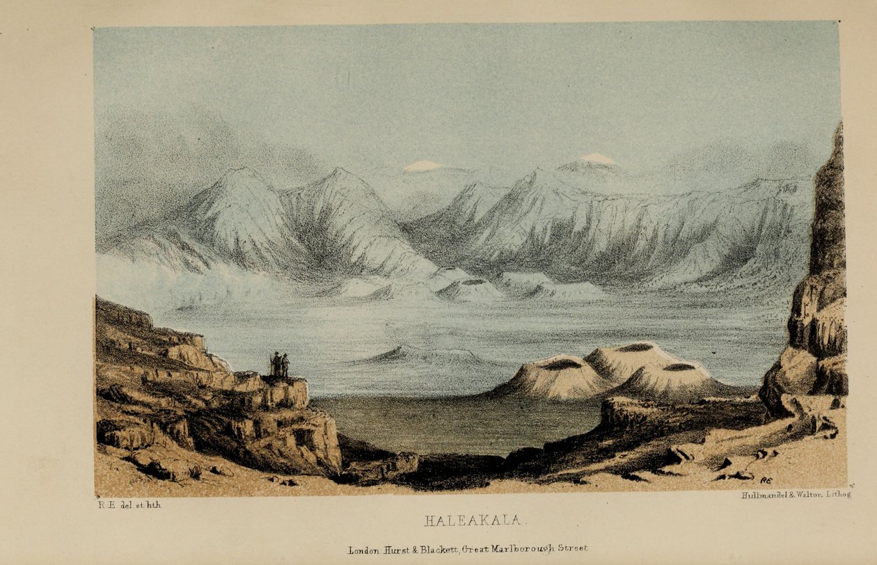हॉर्केला, रॉबर्ट एल्व्स द्वारा जल रंग पेंटिंग (1819-1878), नॉरफ़ॉक के एक अमीर युवा ब्रिटिश सज्जन द्वारा रॉबर्ट एल्वेस