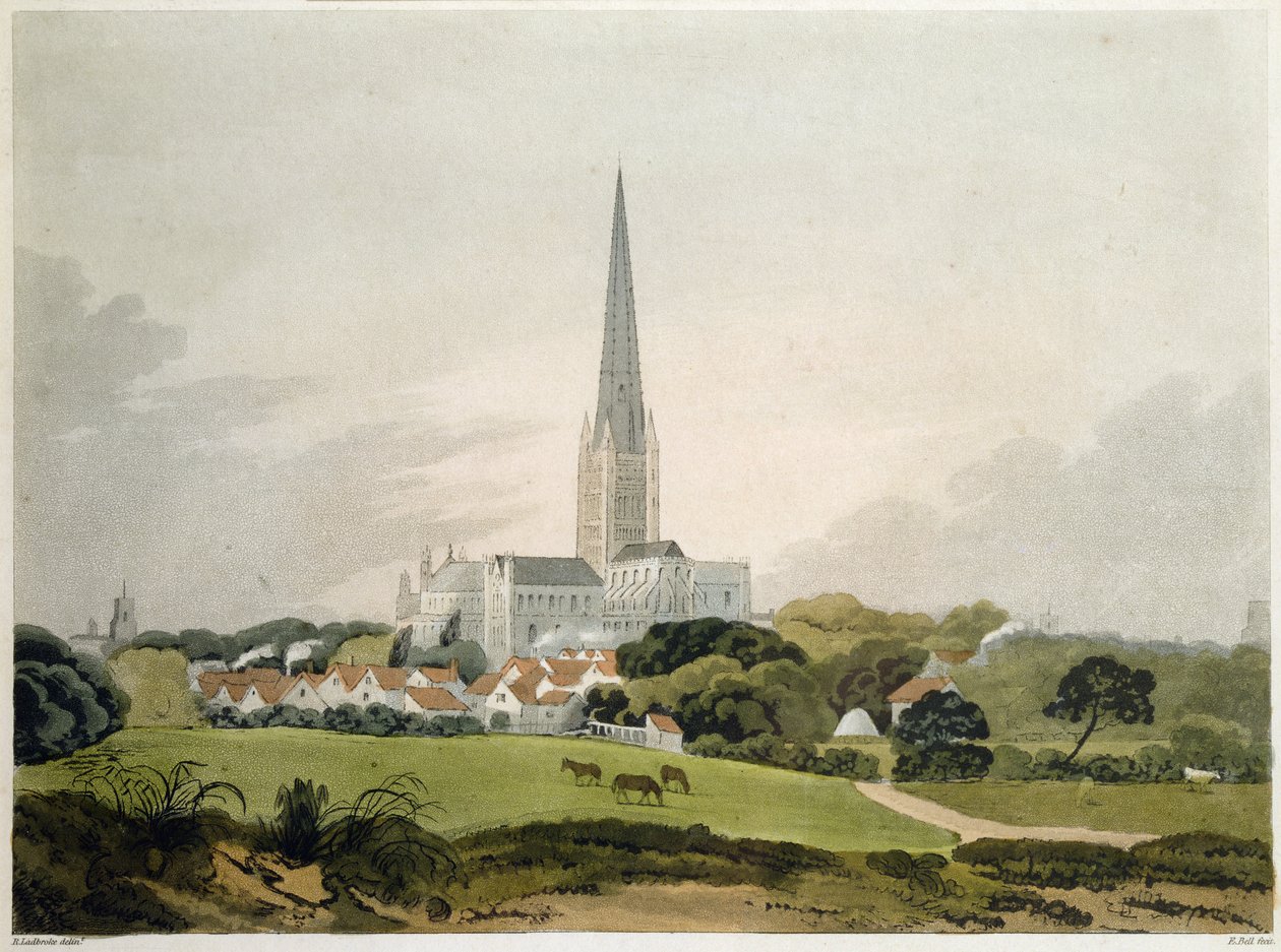 नॉर्विच कैथेड्रल, 1802, एडवर्ड बेल द्वारा उत्कीर्ण किया गया (fl.1794-1847) द्वारा रॉबर्ट लॉड्रोबोक