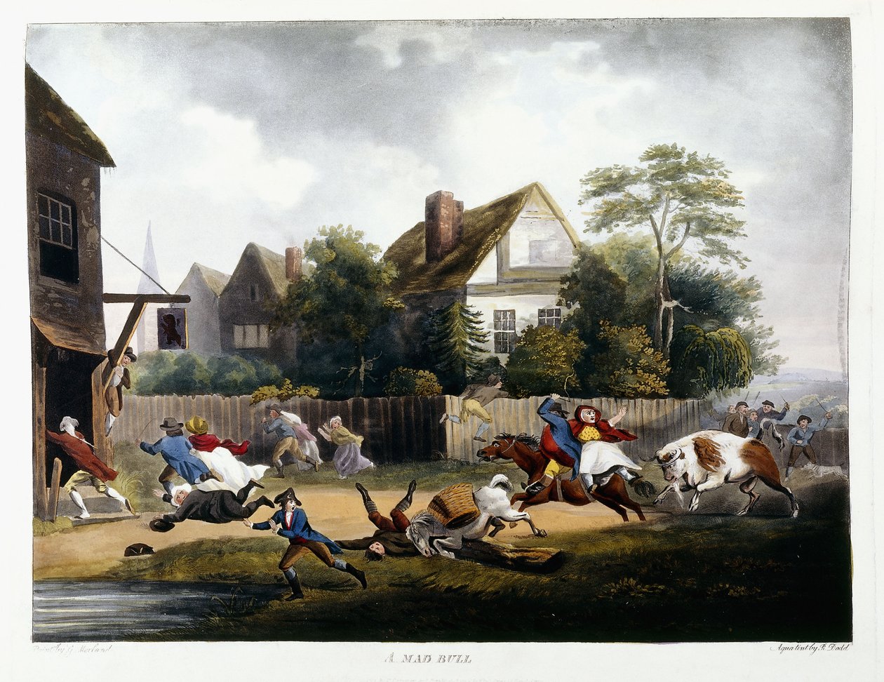 ए मैड बुल, 1806 द्वारा रॉबर्ट डोड