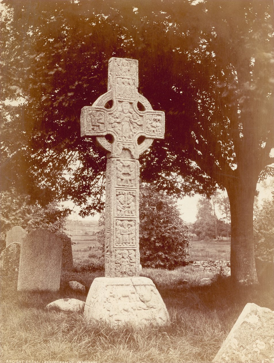Castledermot में दक्षिण उच्च क्रॉस, कं Kildare, आयरलैंड (सेपिया फोटो) द्वारा रॉबर्ट फ्रेंच